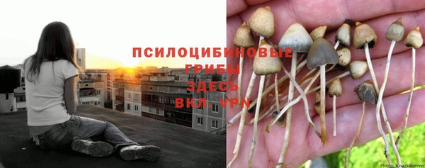 а пвп мука Арсеньев