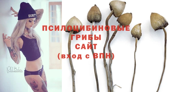 jwh Новодвинск