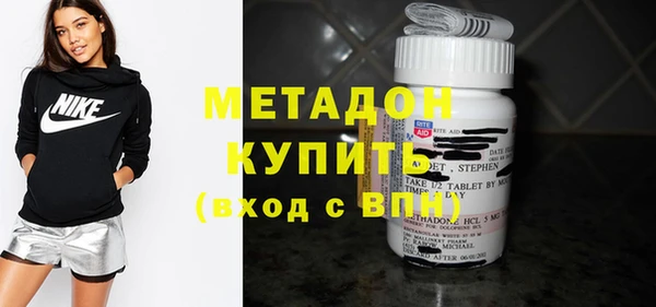 индика Новозыбков