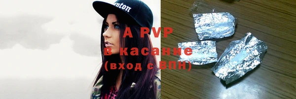 хмурый Аркадак