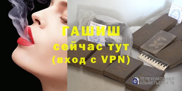 хмурый Аркадак