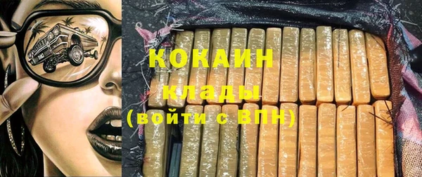 индика Новозыбков