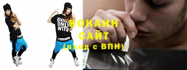 шишки Армянск