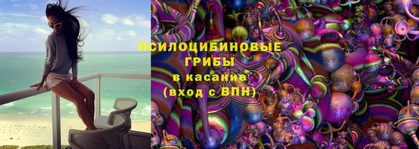 шишки Армянск