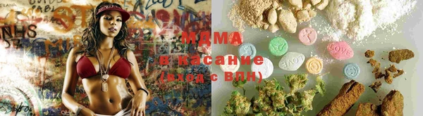 хмурый Аркадак