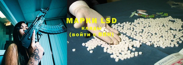 индика Новозыбков
