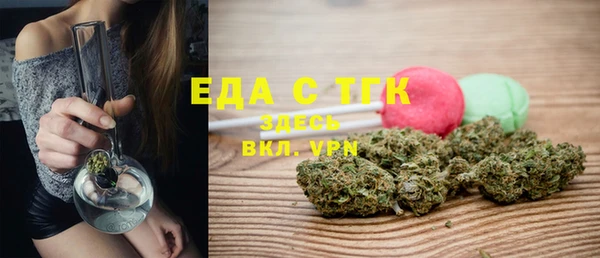 хмурый Аркадак