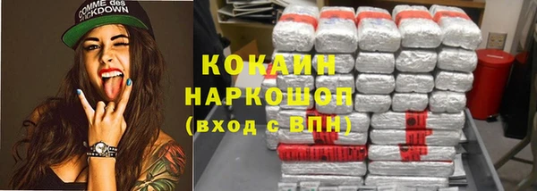 хмурый Аркадак